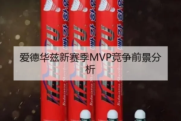 爱德华兹新赛季MVP竞争前景分析